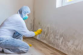  Avenal, CA Mold Prevention & Removal Pros